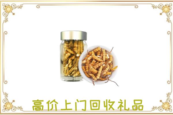 沅江周边回收虫草